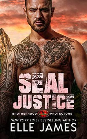 SEAL Justice (Brotherhood Protectors #13)
