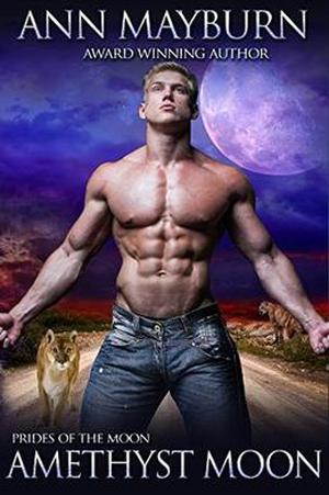 Amethyst Moon by Ann Mayburn