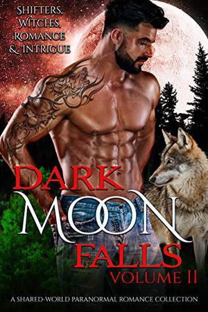 Dark Moon Falls: Volume 2 (Dark Moon Falls #1)