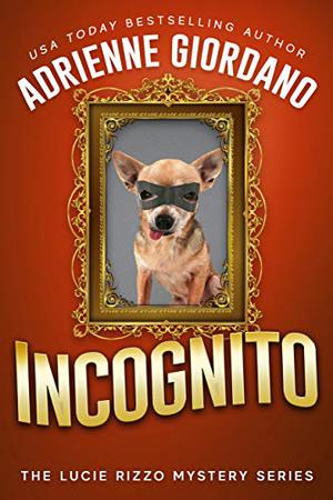 Incognito (Lucie Rizzo Mystery #7)
