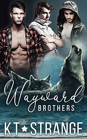 Wayward Brothers: The Raven Brothers of Fallen Mountain by K.T. Strange