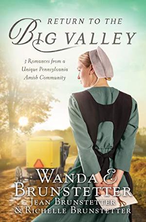 The Return to the Big Valley by Wanda E. Brunstetter, Jean Brunstetter, Richelle Brunstetter