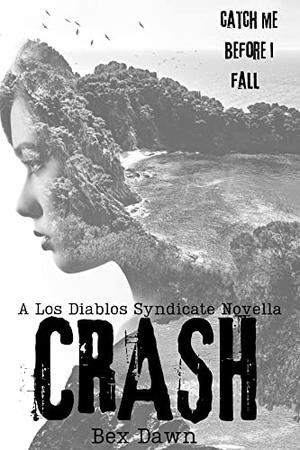 Crash (Los Diablos Syndicate #0.5)