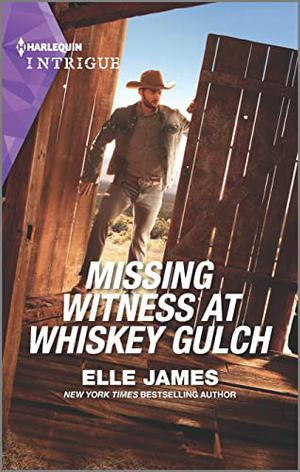 Missing Witness at Whiskey Gulch (The Outriders #5)