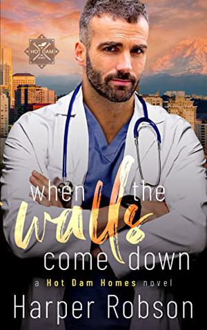 When The Walls Come Down (Hot Dam Homes #2)