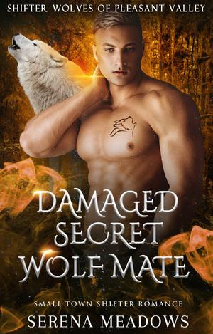 Damaged Secret Wolf Mate: Small Town Shifter Romance (Shifter Wolves Of Pleasant Valley #7)
