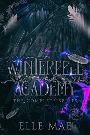 Winterfell Academy: A dark bully why choose by Elle Mae