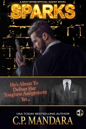 Sparks (Special Agent BDSM #1)