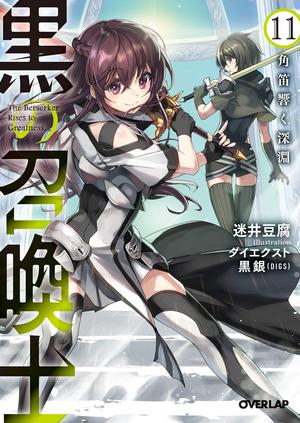 Black Summoner: Volume 11 (Black Summoner Light Novel #11)