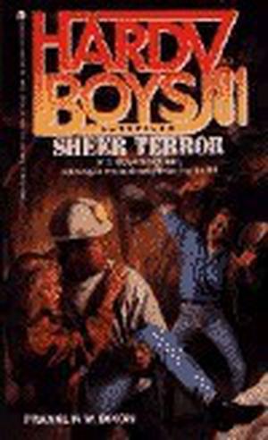 Sheer Terror (The Hardy Boys Casefiles #81)
