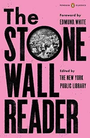 The Stonewall Reader by Edmund White
