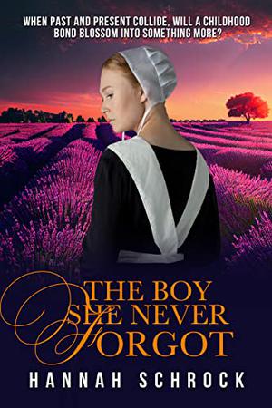 The Boy She Never Forgot by Hannah Schrock