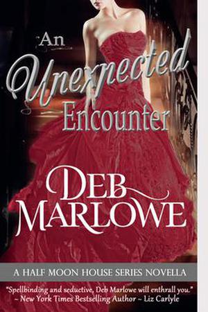 An Unexpected Encounter (Half Moon House #1.5)