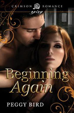 Beginning Again (Second Chances #1)