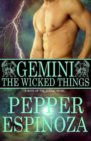 Gemini: The Wicked Things (Boys of the Zodiac #3)
