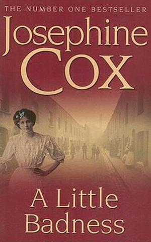 A Little Badness by Josephine Cox