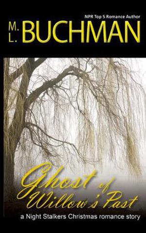 Ghost of Willow's Past (The Night Stalkers #7.2)