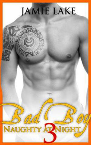 Bad Boy: Naughty at Night 3 (Bad Boy: Naughty at Night #3)