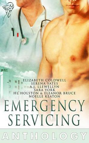 Emergency Servicing Anthology by Elizabeth Coldwell, Serena Yates, A.J. Llewellyn, Sara York, H.L. Holston, Eleanor Bruce, Noelle Keaton