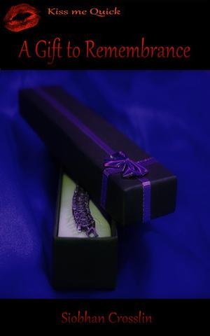 A Gift to Remembrance (Kiss Me Quick #Bundle 4)