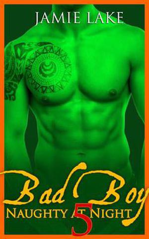 Bad Boy: Naughty at Night 5 (Bad Boy: Naughty at Night #5)