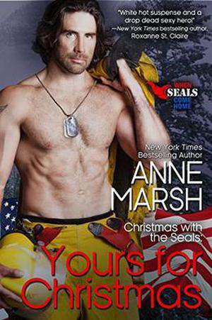 Yours for Christmas: Christmas with the SEALs (When SEALs Come Home #3.5)