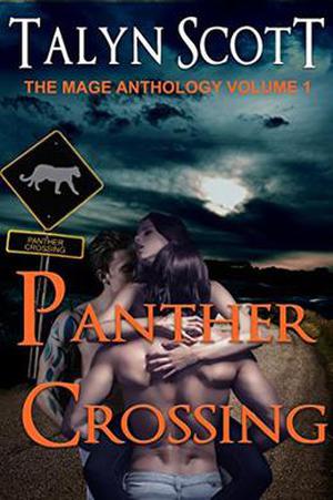 Panther Crossing by Talyn Scott