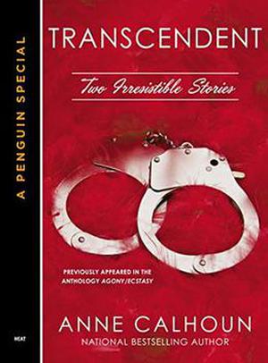 Transcendent (Irresistible #2)