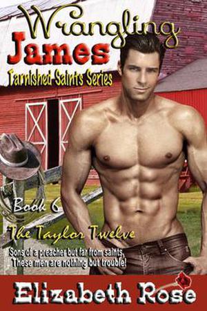 Wrangling James (Tarnished Saints #6)