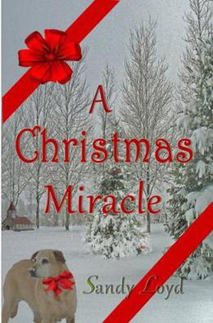 A Christmas Miracle by Sandy Loyd