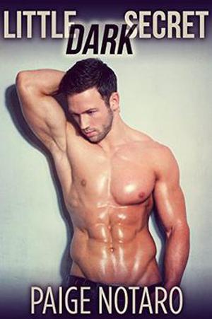 Little Dark Secret by Paige Notaro