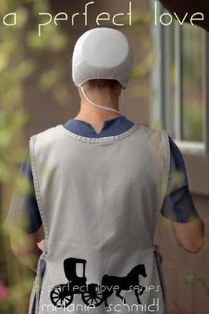 A Perfect Love by Melanie Schmidt