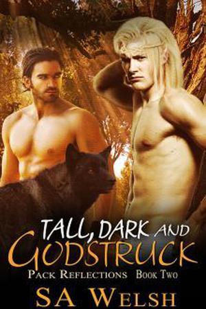 Tall, Dark and Godstruck by S.A. Welsh