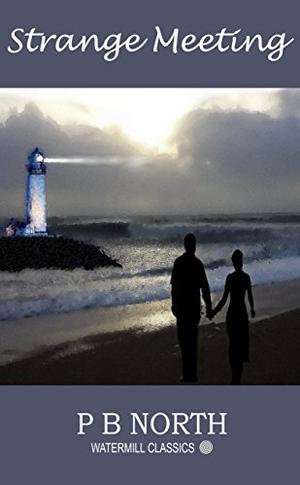 Strange Meeting by P.B. North