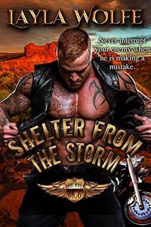 Shelter From The Storm by Natasha Snow