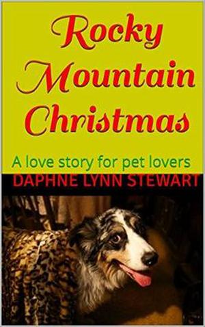 Rocky Mountain Christmas (Merry and Bright Romance #7)