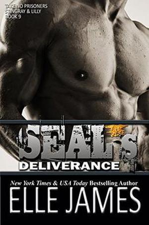 SEAL's Deliverance (Take No Prisoners #9)