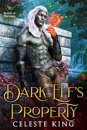 Dark Elf's Property (Dark Elves of Protheka #8)
