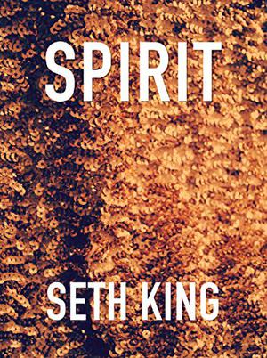 Spirit: A "Straight" Holiday Novella by Seth King