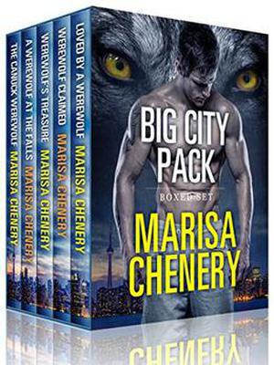 Big City Pack Boxed Set by Marisa Chenery