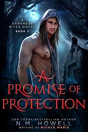 A Promise of Protection by Nicole Marie