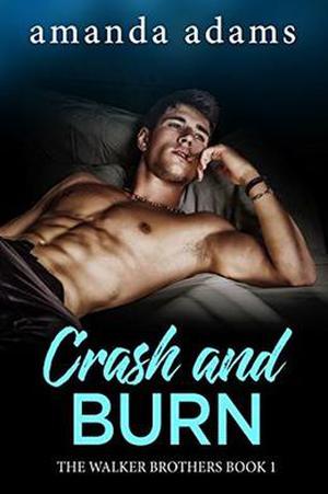 Crash and Burn by Amanda Adams