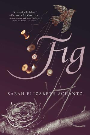 Fig by Sarah Elizabeth Schantz