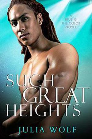 Such Great Heights: A Rock Star Romance by Julia Wolf