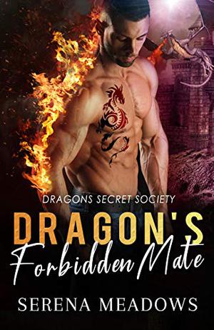 Dragon’s Forbidden Mate (Dragons Secret Society #2)