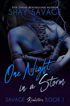 One Night in a Storm by Shay Savage