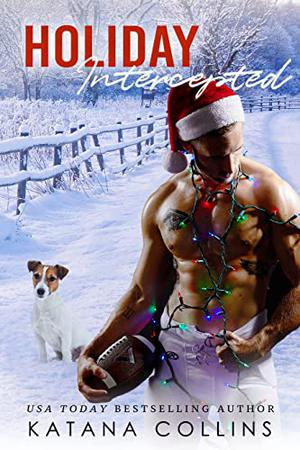 Holiday Intercepted by Katana Collins