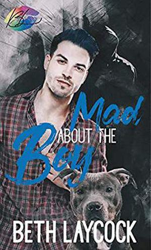 Mad about the Boy by Beth Laycock