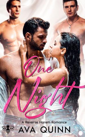 One Night by Ava Quinn
