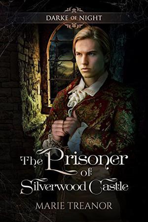 The Prisoner of Silverwood Castle by Marie Treanor